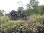 IMG 4592